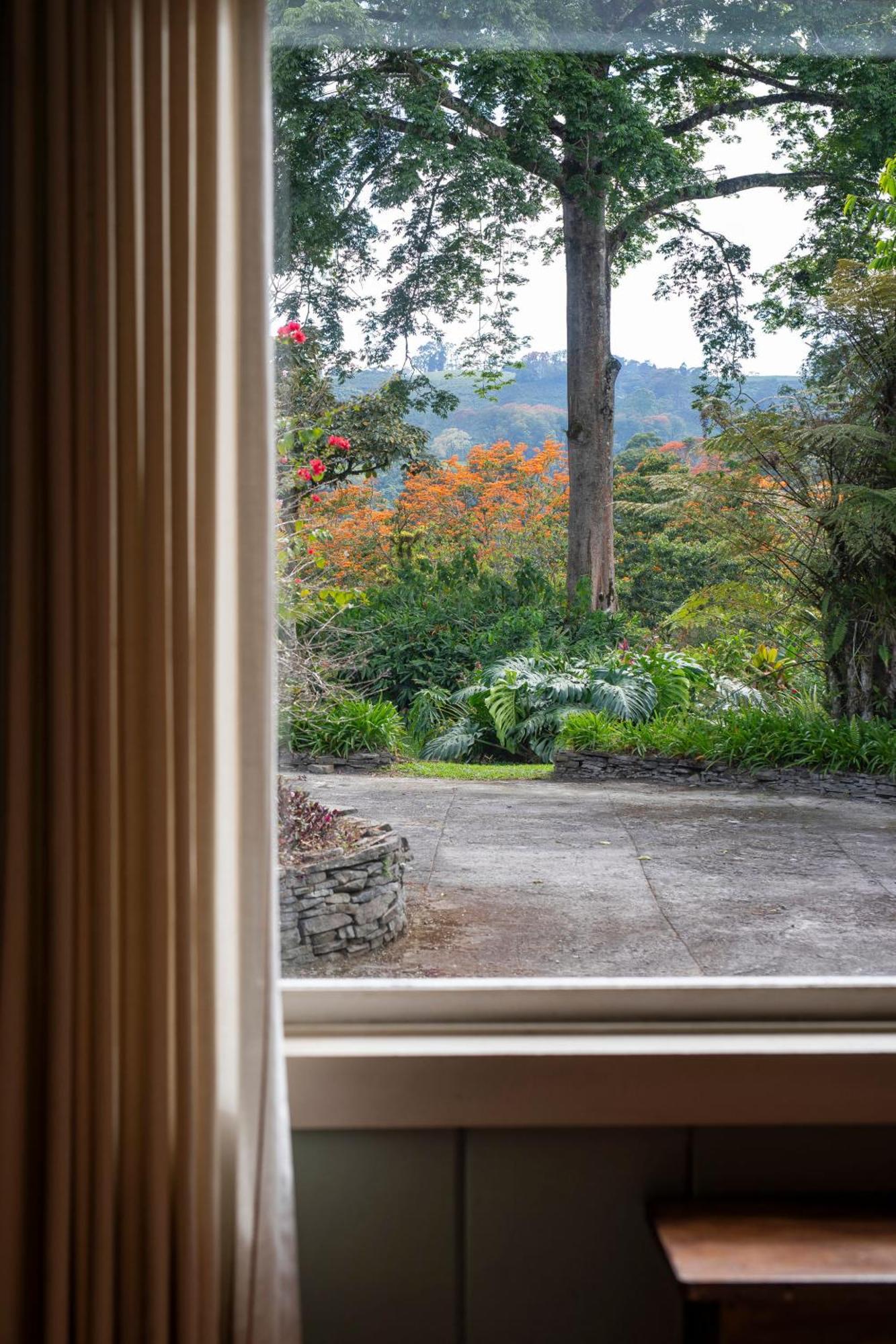 Bed and Breakfast Aquiares Coffee Farm Casa Hacienda La Esperanza Turrialba Esterno foto