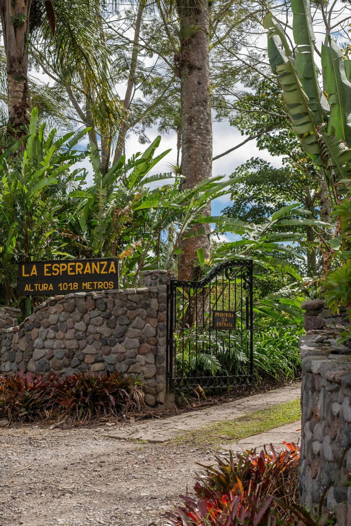 Bed and Breakfast Aquiares Coffee Farm Casa Hacienda La Esperanza Turrialba Esterno foto