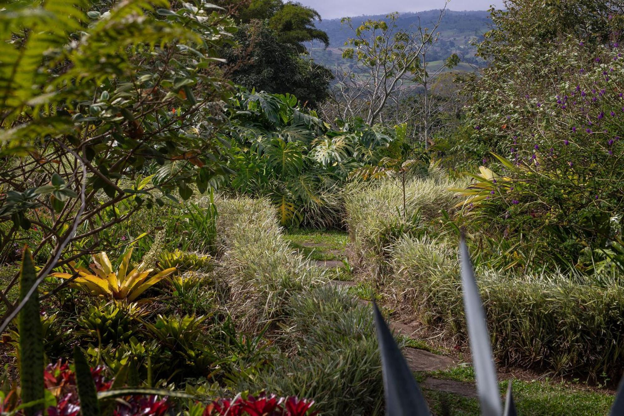Bed and Breakfast Aquiares Coffee Farm Casa Hacienda La Esperanza Turrialba Esterno foto