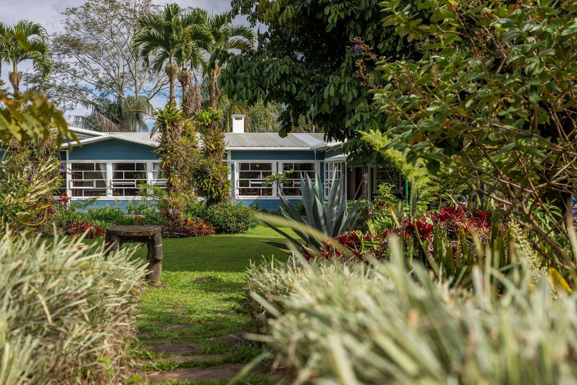 Bed and Breakfast Aquiares Coffee Farm Casa Hacienda La Esperanza Turrialba Esterno foto