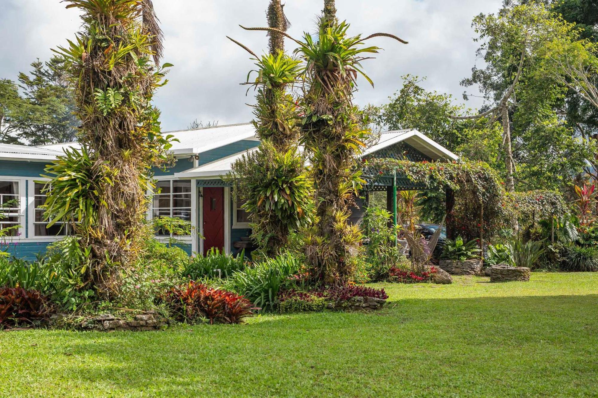 Bed and Breakfast Aquiares Coffee Farm Casa Hacienda La Esperanza Turrialba Esterno foto